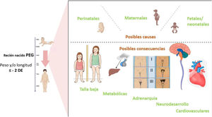 Causas y consecuencias del niño PEG.