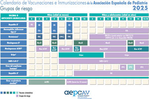 Calendario de Vacunaciones e Inmunizaciones de la Asociación Española de Pediatría: recomendaciones 2025. Grupos de riesgo. (1) Vacuna frente a la hepatitis B (HB). Los hijos de madres HBsAg (antígeno de superficie del virus de la hepatitis B) positivas recibirán en las primeras 12 horas de vida una dosis de vacuna y otra de inmunoglobulina hiperinmune frente a la hepatitis B (IGHB) (0,5mL). Si la serología materna fuera desconocida, deberá administrarse la vacuna en las primeras 12 horas y realizar serología, y si resultara positiva, administrar 0,5mL de IGHB, preferentemente en las primeras 72 horas de vida. Los lactantes vacunados al nacimiento seguirán el calendario habitual del primer año, por lo que recibirán cuatro dosis frente a HB. También hay otros grupos de riesgo. (2) Vacuna conjugada frente al H. influenzae tipo b (Hib). En mayores de 59 meses no es necesaria la vacunación, salvo en grupos de riesgo: asplenia anatómica o funcional, déﬁcit de factores de complemento, tratamiento con eculizumab o ravulizumab, virus de la inmunodeficiencia humana (VIH) y antecedente de enfermedad invasora por Hib. En <59 meses no vacunados o con pauta incompleta, actualizar vacunación según calendario acelerado o de rescate del Comité Asesor de Vacunas e Inmunizaciones de la Asociación Española de Pediatría (CAV-AEP). (3) Vacuna frente al neumococo. Si se dispone de vacuna conjugada frente al neumococo VNC20, se debe administrar con preferencia sobre la vacuna polisacárida 23-valente (VNP23) en vacunados anteriormente con VNC13 o VNC15. En caso de pauta completa con VNC20 (primovacunación y refuerzo), o alguna dosis de VNC20 para completar una pauta iniciada con VNC13 o VNC15, no hará falta administrar VNP23 ni más dosis de VNC20. VNP23 solo está indicada en mayores de dos años con enfermedades que aumentan el riesgo de infección neumocócica y pauta completa anterior con vacuna conjugada (VNC13 o VNC15), pero solo si no está disponible VNC20. El intervalo mínimo respecto de la última dosis de VNC, tanto para administrar VNC20 o VNP23 en vacunados anteriormente con VNC13 o VNC15 es de ocho semanas. (4) Vacuna frente al meningococo B (MenB). 4CMenB. Se recomienda a cualquier edad en grupos de riesgo a partir del año de vida (si son menores de un año, recibirán la pauta habitual sistemática): asplenia anatómica o funcional, déﬁcit de factores de complemento, tratamiento con eculizumab o ravulizumab, receptores de trasplante de progenitores hematopoyéticos, infección por VIH, episodio previo de enfermedad meningocócica invasora (EMI) por cualquier serogrupo y contactos de un caso índice de EMI por serogrupo B en el contexto de un brote epidémico. Posteriormente deberán recibir, excepto los menores de dos años de edad y el antecedente de EMI, una dosis de MenB al año de terminar la inmunización primaria y luego cada cinco años. En caso de brote de EMI por serogrupo B, los pacientes con factores de riesgo deben recibir una dosis de refuerzo si ha transcurrido, al menos, un año desde la finalización de la serie primaria de la vacunación. A partir de los 10 años se puede utilizar cualquiera de las dos vacunas, teniendo en cuenta que no son intercambiables. (5) Vacuna conjugada frente a los meningococos ACWY (MenACWY). Se sigue recomendando especialmente MenACWY para niños y adolescentes que vayan a residir en países en los que la vacuna se indique a esas edades (Canadá, EE. UU., Argentina, Brasil, Chile, Australia, Arabia Saudí, Andorra, Austria, Bélgica, Chipre, Eslovaquia, Grecia, Irlanda, Italia, Malta, Países Bajos, República Checa, Reino Unido, San Marino y Suiza) y para los que tengan factores de riesgo de EMI: asplenia anatómica o funcional, déficit de factores del complemento, tratamiento con eculizumab o ravulizumab, receptores de trasplante de progenitores hematopoyéticos, infección por VIH, episodio previo de EMI por cualquier serogrupo y contactos de un caso índice de EMI por serogrupo A, C, W o Y en el contexto de un brote epidémico. Primovacunación a cualquier edad con dos dosis separadas por, al menos, dos meses. Si la situación de riesgo persiste, se recomienda administrar una dosis de refuerzo, en menores de siete años de edad cada tres años y cada cinco años en los mayores de esta edad. Los viajeros a La Meca por razones religiosas y al llamado cinturón de la meningitis africano durante la estación seca deben recibir también MenACWY. (6) Vacuna frente a la gripe. Se recomienda para todos los grupos de riesgo y convivientes a partir de seis meses de edad. Para consultar los grupos de riesgo de esta vacuna se puede acceder al Documento con las Recomendaciones del CAV-AEP para la temporada 2024-2025. (7) Vacuna frente al SARS-CoV-2. Según las recomendaciones de la Comisión de Salud Pública de España para la vacunación frente a la COVID-19 para la temporada 2024-2025, está indicada la vacunación en personas a partir de los seis meses con condiciones de alto o muy alto riesgo o que reciban tratamiento inmunosupresor o convivientes con personas de riesgo, y en personas de cinco años o más internas en centros de discapacidad o en instituciones de manera prolongada. Las vacunas a utilizar son las monovalentes con cepa JN.1: Comirnaty JN.1 (con presentaciones de 3 mcg [niños de seis meses a cuatro años], 10 mcg [de cinco a 11 años] o 30 mcg [12 años y mayores]) y Spikevax JN.1 (presentación 0,1mg/mL multidosis para 10 dosis de 0,25mL/25 mcg [niños de seis meses a 11 años] o cinco dosis de 0,5mL/50 mcg [mayores de 11 años]). Primovacunación en personas mayores de seis meses que hayan pasado la infección: una dosis, con intervalo mínimo de tres meses tras la infección, salvo si pertenecen a grupos con alto grado de inmunosupresión, donde recibirán una segunda dosis con un intervalo de tres meses entre dosis. Primovacunación sin antecedente de haber pasado la infección: personas de cinco años o mayores, una dosis; niños entre seis meses y cuatro años, tres dosis (con intervalo de tres semanas entre la primera y la segunda, y de ocho semanas entre la segunda y la tercera) de Comirnaty JN.1 3 mcg, o dos dosis de Spikevax JN.1 (0,25mL/25 mcg) a los 0 y 28 días. En aquellos niños entre seis meses y cuatro años con vacunación anterior incompleta, se completará la pauta con una de las nuevas vacunas monocomponentes. Dosis estacional (otoño-invierno 2024-2025) en grupos de riesgo: una dosis, independientemente del número de dosis recibidas con anterioridad o de si han pasado o no la infección, con un intervalo de tres meses respecto a la vacunación o a la enfermedad. Los grupos de riesgo se pueden consultar en las recomendaciones del Ministerio de Sanidad y en el Manual de inmunizaciones en línea del CAV-AEP. (8) Vacuna frente al virus del papiloma humano (VPH). Está indicada a partir de los nueve años de edad siempre con tres dosis en condiciones de inmunosupresión. Consultar el Manual de Inmunizaciones para otros grupos de riesgo. (9) Vacuna frente a la hepatitis A. Se pueden consultar los grupos de riesgo preexposición y posexposición en nuestro manual. Los lactantes de 6-11 meses de edad cuando viajan a zonas de riesgo pueden recibir la vacuna, pero no se considera una dosis válida y, por tanto, no cuenta para la serie vacunal que debe reiniciar a partir de los 12 meses. (10) Inmunización frente al virus respiratorio sincitial (VRS). Se recomienda nirsevimab (anticuerpo anti-VRS) con administración anual (dos temporadas) a niños menores de dos años con enfermedades subyacentes que aumenten el riesgo de infección grave por VRS, preferentemente justo antes del inicio habitual de la estación del VRS (octubre). En la segunda temporada y siempre que pesen 10 o más kg la dosis será de 200mg (si pesan menos de 10kg se aplicarán 100mg), aplicando dos inyecciones de 100mg. Los prematuros de menos de 35 semanas (incluyendo los de edad gestacional menor de 29 semanas) recibirán una dosis del anticuerpo, antes de cumplir 12 meses de edad (si recibieron una dosis en la temporada anterior podrán recibir una nueva dosis de 100mg [200mg si pesan 10 o más kg] al inicio de la temporada 2024-2025 si todavía no han cumplido los 12 meses).