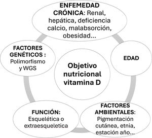 Factores que deben considerarse para solicitar e interpretar los niveles séricos de calcidiol y para definir el objetivo nutricional de la vitaminaD.