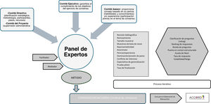 Esquema general de un ejercicio de consenso.