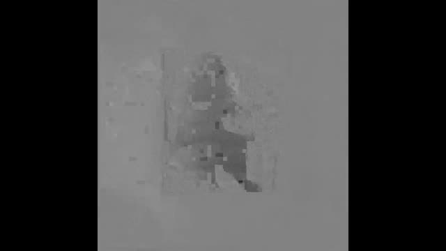 https://ars.els-cdn.com/content/image/1-s2.0-S1695403325000736-mmc2.mp4