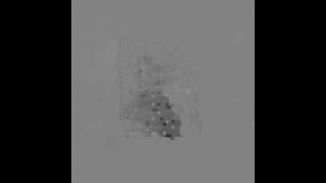 https://ars.els-cdn.com/content/image/1-s2.0-S1695403325000736-mmc3.mp4