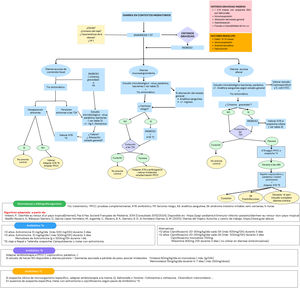 Algoritmo de manejo de GEA en contextos migratorios (viajes internacionales, adopciones, movimientos migratorios, etc.). Tto: tratamiento; PPCC: pruebas complementarias; ATB: antibiótico; FR: factores riesgo; AS: analítica sanguínea; SII: síndrome intestino irritable; sem: semanas; h: horas. Algoritmo adaptado a partir de: Badillo Navarro et al.22 e Imbert38.