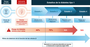 Historia natural de la diabetes tipo 1.