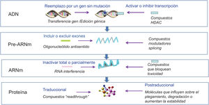 Ámbitos de acción de las terapias avanzadas específicas del gen y sus productos. Es posible actuar en el ADN ya sea reemplazando el gen representado por la doble hélice o haciendo edición génica de su mutación (estrella) o activar o inhibir su transcripción por compuestos que modifican las histonas y la expresión del gen. El pre-ARN mensajero es una copia monocatenaria del ADN y contiene exones (en azul) e intrones (en gris). Es posible modificar el splicing incluyendo o excluyendo exones con un oligonucleótido antisentido o con compuestos moduladores de splicing. El ARN mensajero maduro contiene solo los exones, y es posible inactivarlo total o parcialmente ya sea con moléculas de RNA de interferencia o con compuestos que bloqueen la toxicidad. La proteína puede modificarse ya sea a nivel traduccional con compuestos que obvien la lectura de los codones stop de ciertas mutaciones incorporando un aminoácido que hará una proteína más larga o con compuestos que modifiquen la proteína a nivel postraduccional (más explicación en el texto). HDAC: histona-deacetilasas.