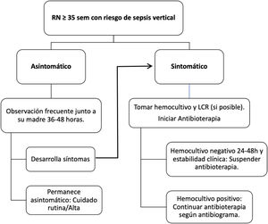 Algoritmo de manejo del recién nacido con ≥35 semanas y riesgo de sepsis vertical. RN: recién nacido; sem: semanas de gestación; LCR: líquido cefalorraquídeo, h: horas.