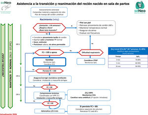 Asistencia a la transición y reanimación del recién nacido en la sala de partos.