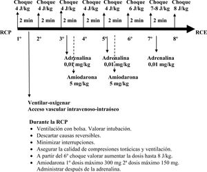 Algoritmo de RCP avanzada, ritmos desfibrilables.