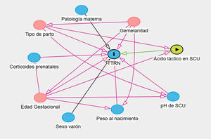 Diagrama causal dirigido acíclico para la selección de variables a incluir en el modelo multivariante. SCU: sangre de cordón umbilical; TTRN: taquipnea transitoria del recién nacido.