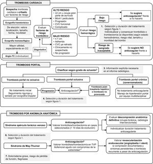 Manejo de la trombosis cardiaca, trombosis portal y trombosis por anomalía anatómica. CC: cardiopatía congénita; CVC: catéter venoso central; TVP: trombosis venosa profunda.