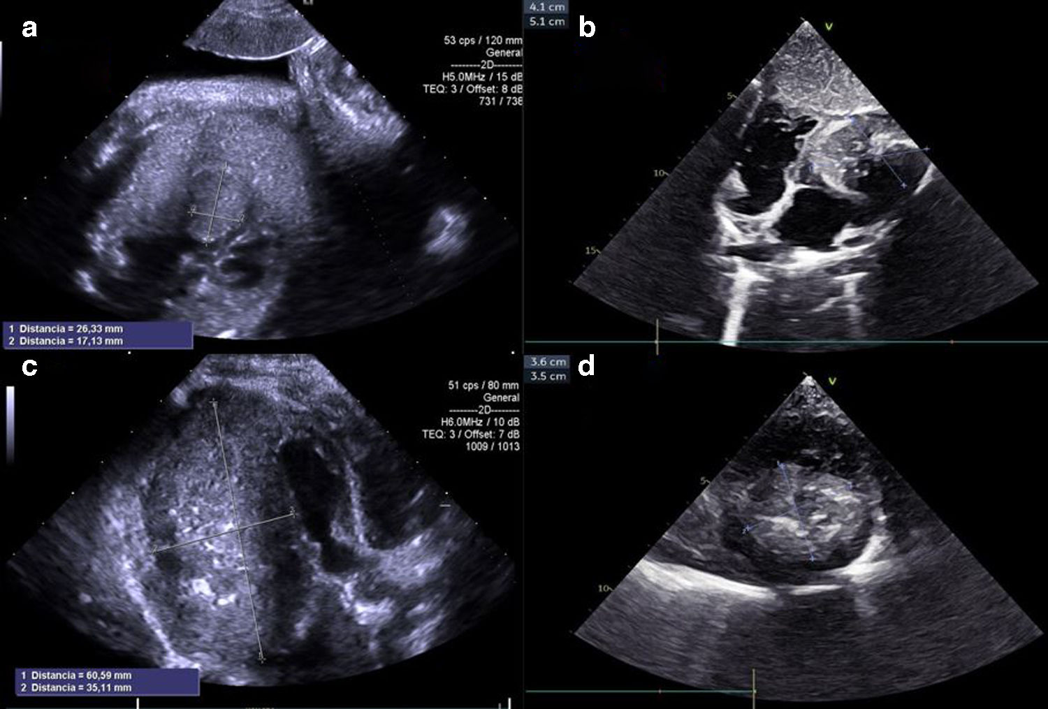 fig0005