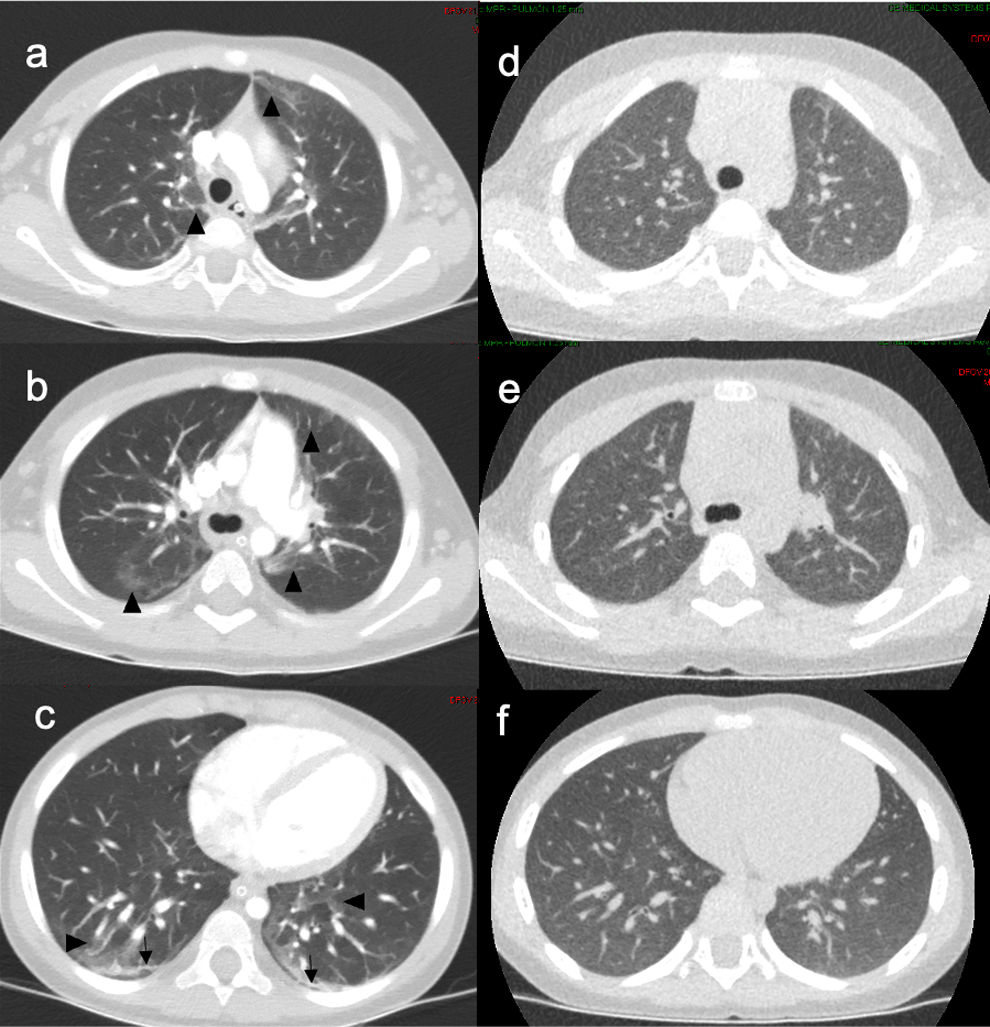 fig0005