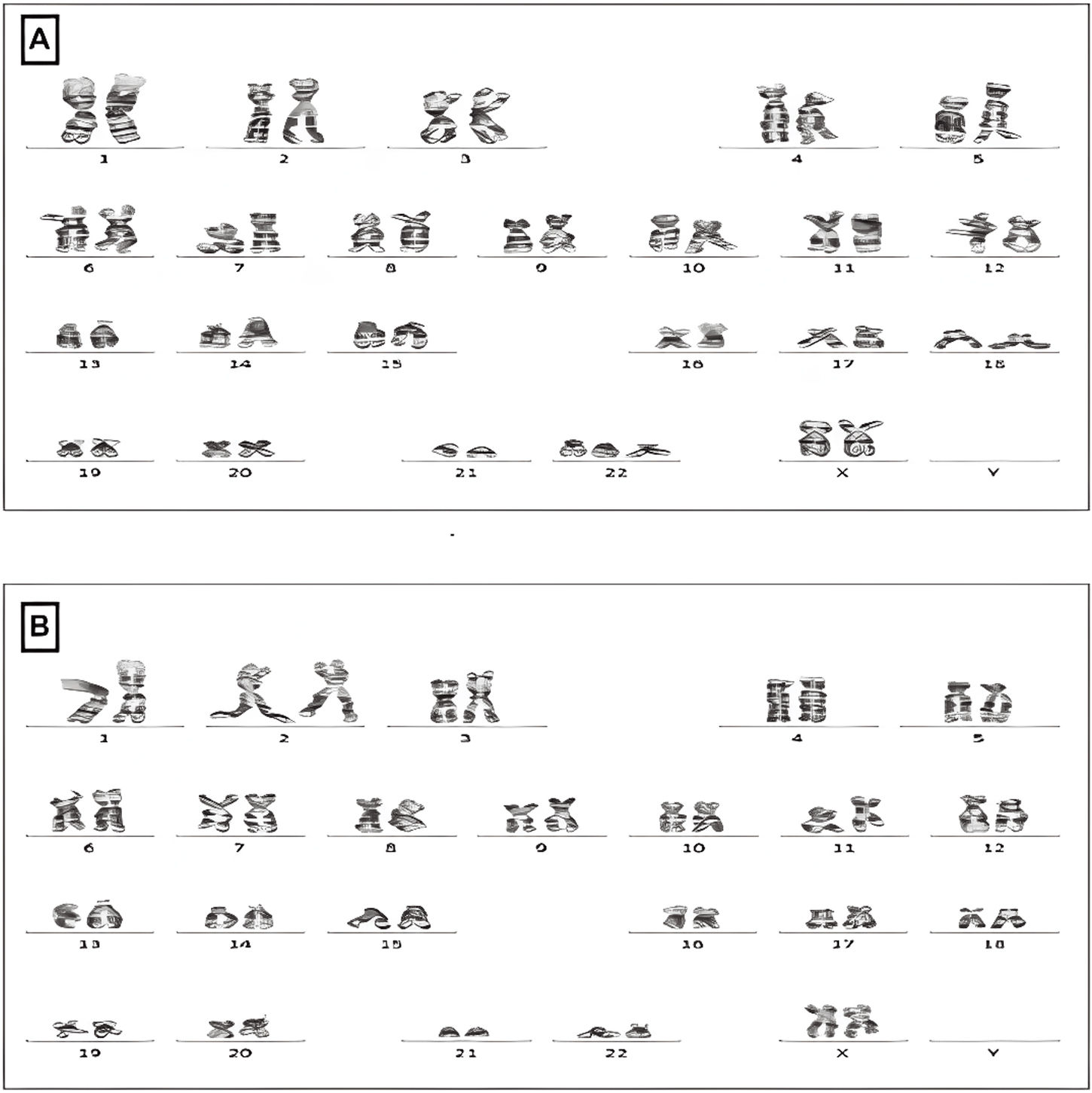 fig0010