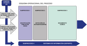 Esquema operacional del Proceso Asistencial Integrado (PAI) para la detección y abordaje de la DT1 en estadios preclínicos.