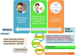 Efectos de las experiencias adversas en la infancia y ciclo vital.