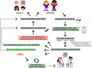 Fases del asesoramiento genético en pediatría. El asesoramiento genético es un proceso centrado en el paciente y su familia. Tras un diagnóstico clínico, el paciente es remitido a la consulta de asesoramiento genético, donde se le exponen las características de su enfermedad, el riesgo, etc.; y tras la firma del consentimiento informado (CI), se realizarán los estudios genéticos pertinentes. Los resultados deben ser interpretados por personal especializado, pudiendo encontrarnos ante estas posibilidades: variantes (probablemente) patogénicas, variantes (probablemente) benignas y variantes de significado incierto (VUS). Asimismo, dependiendo de lo que se eligiera durante la firma del CI, se deberá informar sobre los hallazgos incidentales.