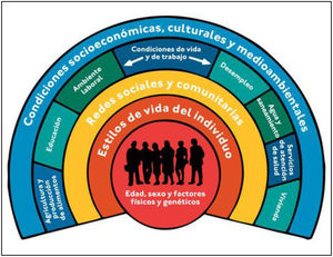 Modelo de determinantes de la salud de la Organización Panamericana de la Salud. Fuente: Elaborada por la OPS/OMS3.