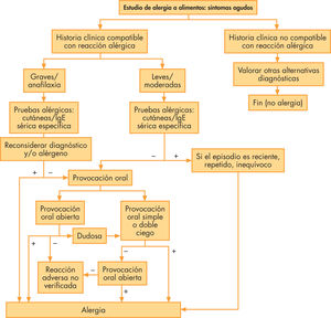 Clasificación de las reacciones adversas a alimentos. Documento de posición de la Academia Europea de Alergología e Inmunología Clínica, 2001. Ig: inmunoglobulina.