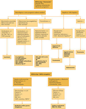 Diagnóstico diferencial entre los diferentes errores congénitos del metabolismo que cursan con síntomas de tipo intoxicación y de tipo déficit energético. AGII: aciduria glutárica tipo II; CAO: ácidos orgánicos; CPTII: carnitinpalmitoil transferasa; IPL: intolerancia a proteínas con hiperlisinuria; LCAD: déficit de acil-CoA deshidrogenasa; LCHAD: déficit de 3-hidroxiacil-CoA deshidrogenasa; NEFA: ácidos grasos libres no esterificados; PC:piruvato carboxilasa; PDH:piruvato deshidrogenasa; S. HHH: síndrome hiperamoniemia, hiperornitinemia, homocitrulinuria.