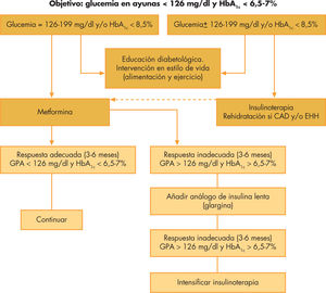 Algoritmo de tratamiento de la diabetes mellitus tipo 2 en la edad pediátrica. CAD: cetoacidosis diabética; EHH: estado hiperglucémico hiperosmolar; GPA: glucosa plasmática en ayunas; HbA1c: hemoglobina glucosilada