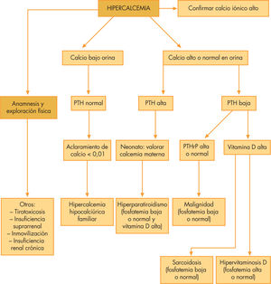 Algoritmo diagnóstico de la hipercalcemia. PTH:parathormona.