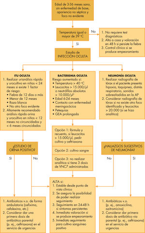 Algoritmo diagnosticoterapéutico para el manejo de fiebre sin causa evidente en niños de 3 meses a 3 años. Tomada de referencia 5. AP: anteroposterior; v.o.: vía oral.
