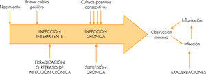 Estrategias y objetivos del tratamiento antibiótico en fibrosis quística. Adaptada de Flume5.