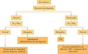 Orientación diagnóstica ante una hemorragia en un recién nacido enfermo. CID: coagulación intravascular diseminada; NEC: enterocolitis necrosante; RN: recién nacido; TP: tiempo de protrombina; TTPa: tiempo de tromboplastina parcial activado.