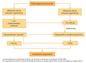 Fisiopatología y evolución natural de la enfermedad respiratoria en la enfermedad neuromuscular.