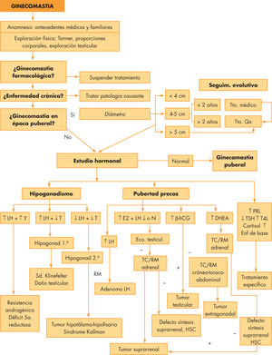 Algoritmo diagnóstico. DHEA: dihidroepiandrostendiona; E2: Estradiol; HSC: hiperplasia suprarrenal congénita; LH: hormona luteinizante, T: testosterona; PRL: prolactina; β-hCG: hormona corionotrófica humana.