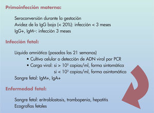 Citomegalovirus; diagnóstico prenatal.
