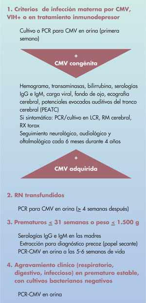 Indicaciones de estudio del neonato. CMV: citomegalovirus; LCR: líquido cefalorraquídeo; PCR: reacción en cadena de la polimerasa; PEACT:potenciales evocados auditivos del tronco cerebral; RM: resonancia magnética; RX: radiografía; VIH: virus de la inmunodeficiencia humana.