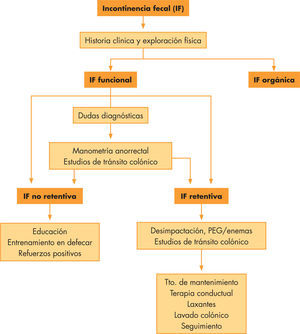 Algoritmo de manejo de la incontinencia fecal funcional. IF: incontinencia fecal: PEG: polietilenglicol.