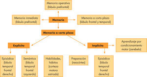 Clasificación de los diferentes tipos de memoria.