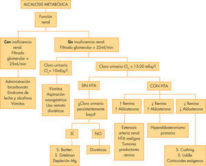 Etiología y algoritmo diagnóstico de la alcalosis metabólica. HTA: hipertensión arterial.