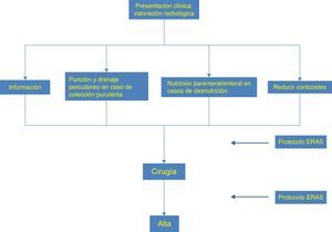 Esquema para la optimización del periodo perioperatorio. ERAS: enhanced recovery after surgery.