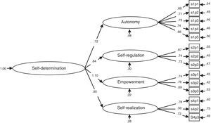 Standardized solution for the hierarchical model obtained in the CFA.
