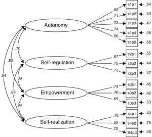 Standardized solution for the correctional model obtained in the CFA.