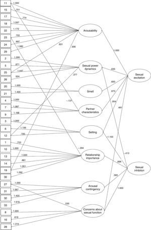 Standardized factor loadings of Confirmatory Factor Analysis in Sample 1.