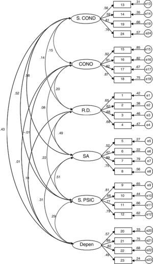 First-order factor structure of IPSO-CA24.