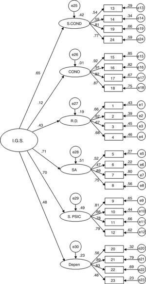 Hierarchical factor structure of IPSO-CA24.