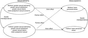 Conceptual model of the hypothesized associations between couples’ sexual well-being and perceived stress postpartum. Solid lines represent actor effects, dashed lines represent partner effects.
