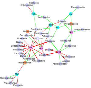 The correlation network shows that how microbiota, blood and psychological test results are correlated with each other (Only P<0.05, FDR<0.5 showed). Each node represents an assigned taxonomy name. Brown node represent phylum level and light purple node represent genus level. Pink node represents blood parameters and light blue node represent psychological parameters. Green edges represent positive correlation and red represent negative correlation. Line weight represent correlation coefficient.