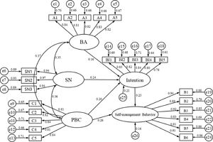 A structural equation model of DSM based on the theory of planned behavior.