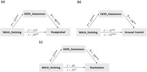 Mediation results. * p <  .05, ** p < .01, *** p < .001; MAIA: Multidimensional Assessment of Interoceptive Awareness; DERS: Difficulties in Emotion Regulation Scale.