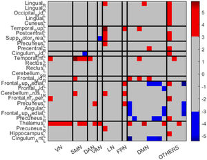 Edge plot matrix. Blue colors show areas that have significantly increased connectivity in control participants compared to DS. Red areas show significantly increased connectivity in DS patients compared with controls.