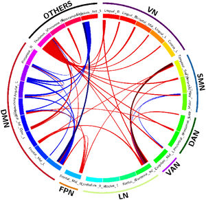 Spatial connectogram of differences in connectivity between DS and controls generated using the Circos tool (Krzywinski, et al., 2009). Blue lines show areas that have significantly increased connectivity in control participants compared to DS. Red lines show areas that have increased connectivity in DS patients compared with controls.