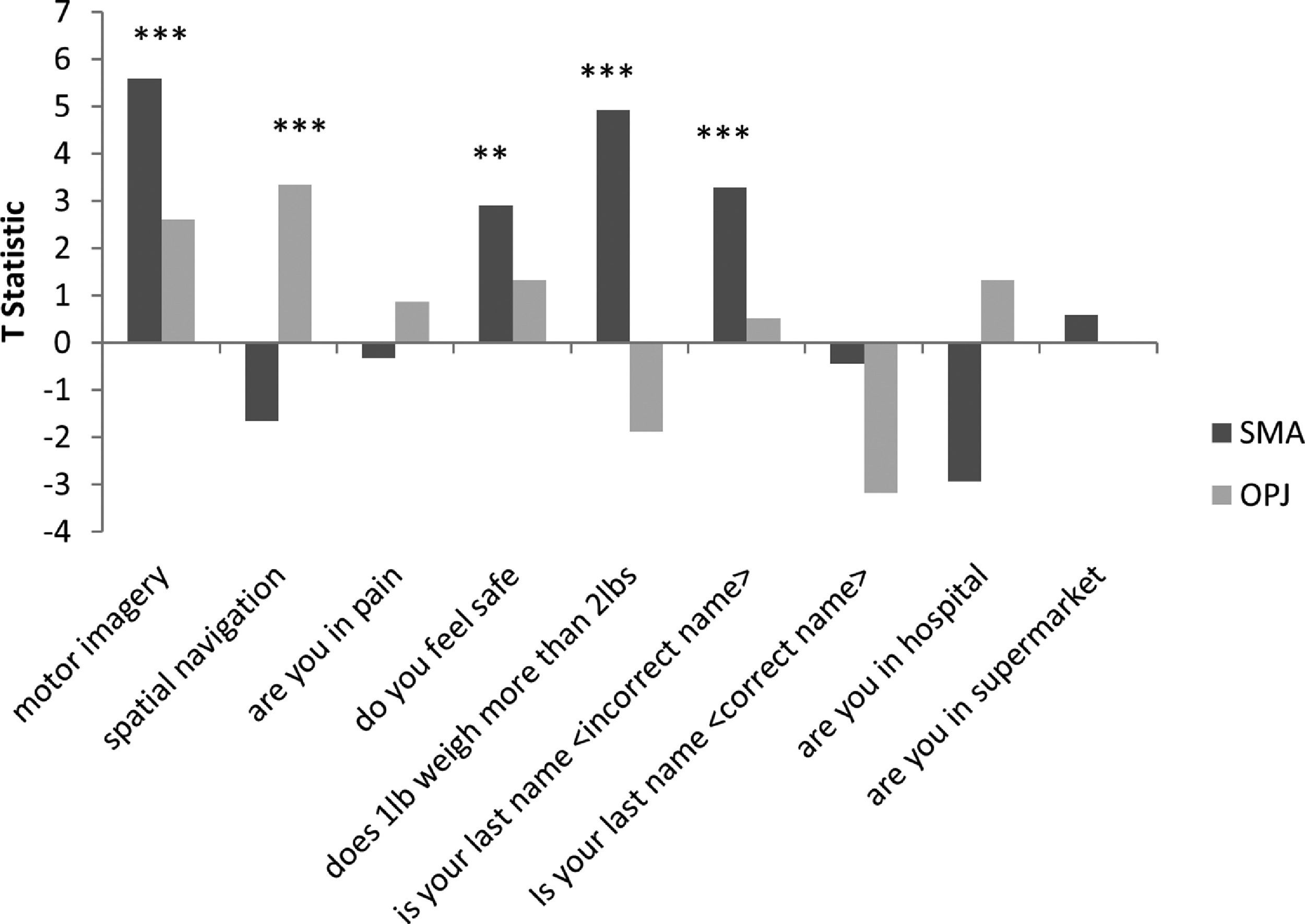 Use of functional magnetic resonance imaging to assess cognition and ...