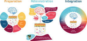 The possible reciprocal host-microbiota-psychedelic interactions of the Psilocybiome. The MGB axis, as a convergence hub between multiple biofeedback systems, could play a role in the modulation of acute and sustained psychedelic responses in psychedelic therapy. In the preparatory phase, baseline MGB axis activity, together with other peripheral mediators and psychological measures, could serve as composite psycho-biomarkers that could be mapped onto the continuum of responses to psychedelic therapy in order to stratify those who may preferentially respond to psychedelic therapy. During the pre-preparatory or preparatory phase the MGB axis could be shifted into a state which might better respond to psychedelic therapy. In the acute administration phase, the MGB axis may play a subtle role in the inter-individual variability of psychedelic drug metabolism. In the longer-term, re-enforcing peripheral mechanisms via synergistic MGB-axis signalling could contribute to the instigation and maintenance of behavioural changes that are more optimal to homeostasis.