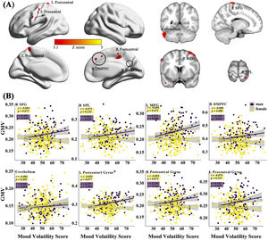 The sex-specific relations of the brain gray matter volumes (GMVs) with the sub-dimensions of the HPT. (A) represents the effects of sex-by-mood-volatility interaction on gray matter volumes. The scatter plots present the specific correlations between mood volatility and GMVs in males and females (B).